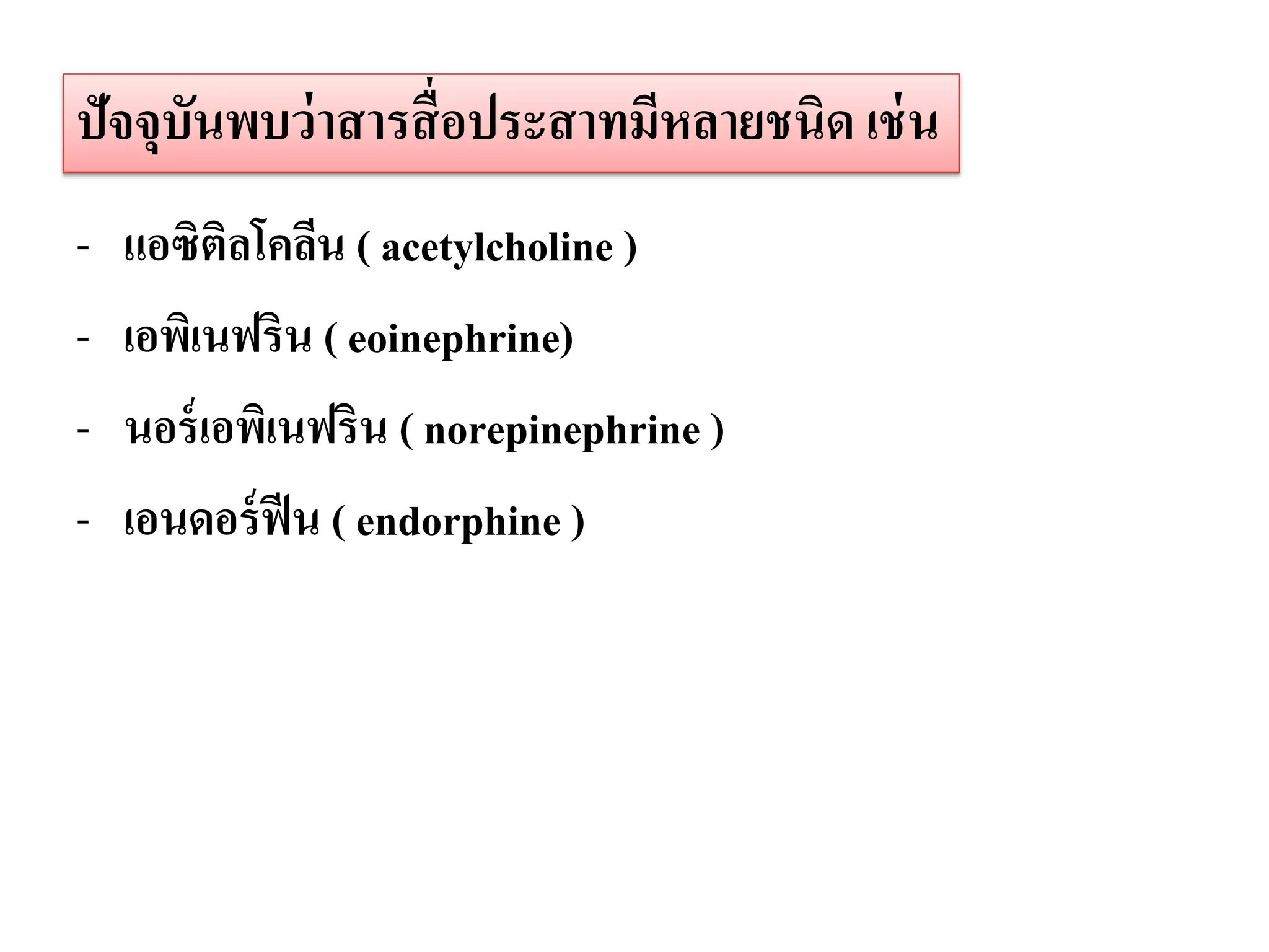 ปัจจุบนพบว่ าสารสื่ อประสาทมีหลายชนิด เช่ น
      ั
-   แอซิติลโคลีน ( acetylcholine )
-   เอพิเนฟริน ( eoinephrine)
-   นอร์ เอพิเนฟริน ( norepinephrine )
-   เอนดอร์ ฟีน ( endorphine )
 