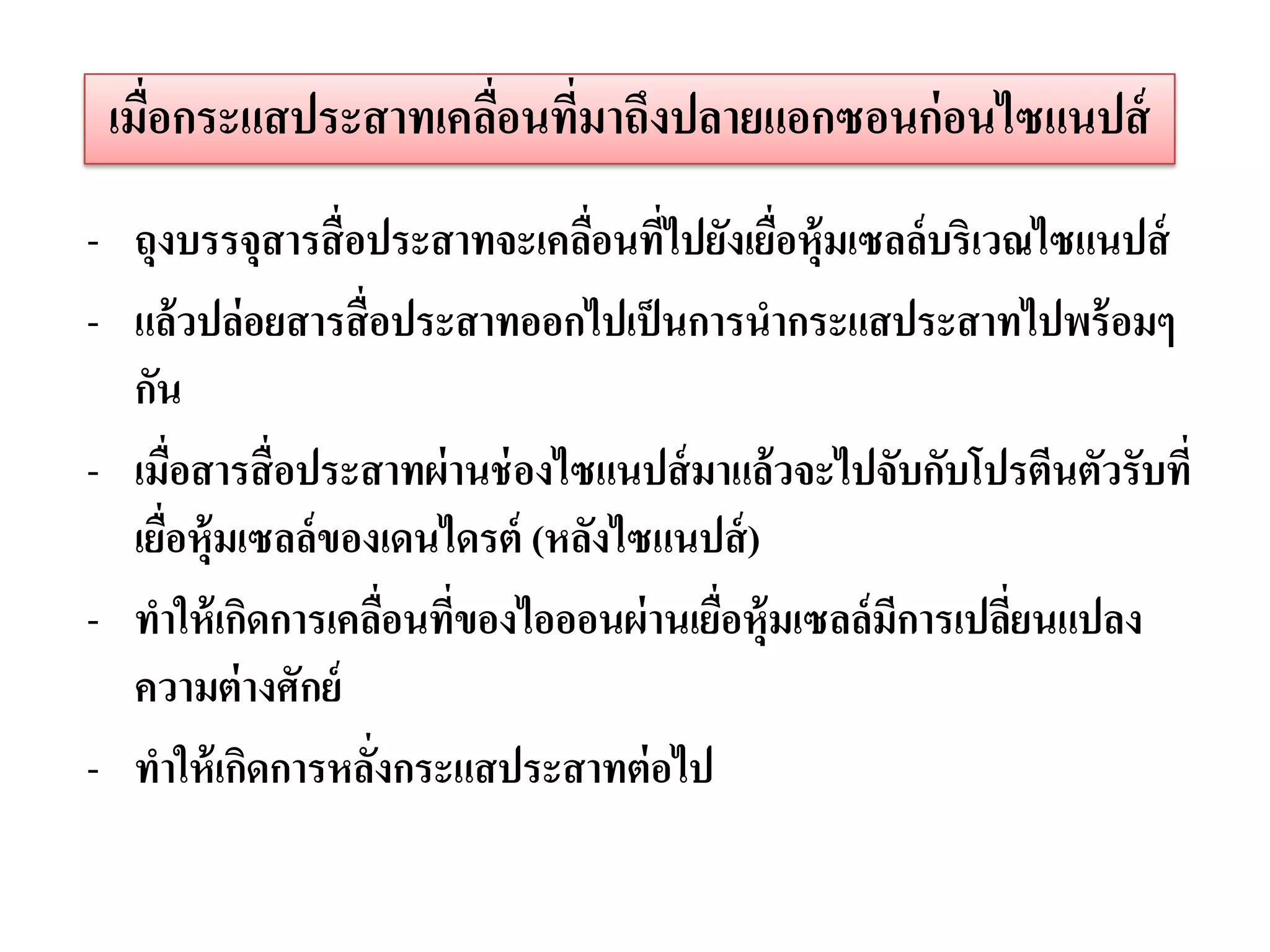 เมื่อกระแสประสาทเคลือนที่มาถึงปลายแอกซอนก่ อนไซแนปส์
                     ่
- ถุงบรรจุสารสื่ อประสาทจะเคลือนทีไปยังเยือหุ้มเซลล์บริเวณไซแนปส์
                                 ่ ่        ่
- แล้วปล่อยสารสื่ อประสาทออกไปเป็ นการนากระแสประสาทไปพร้ อมๆ
  กัน
- เมื่อสารสื่ อประสาทผ่ านช่ องไซแนปส์ มาแล้วจะไปจับกับโปรตีนตัวรับที่
  เยือหุ้มเซลล์ของเดนไดรต์ (หลังไซแนปส์ )
     ่
- ทาให้ เกิดการเคลือนทีของไอออนผ่ านเยือหุ้มเซลล์มีการเปลียนแปลง
                     ่ ่                ่                 ่
  ความต่ างศักย์
- ทาให้ เกิดการหลังกระแสประสาทต่ อไป
                   ่
 