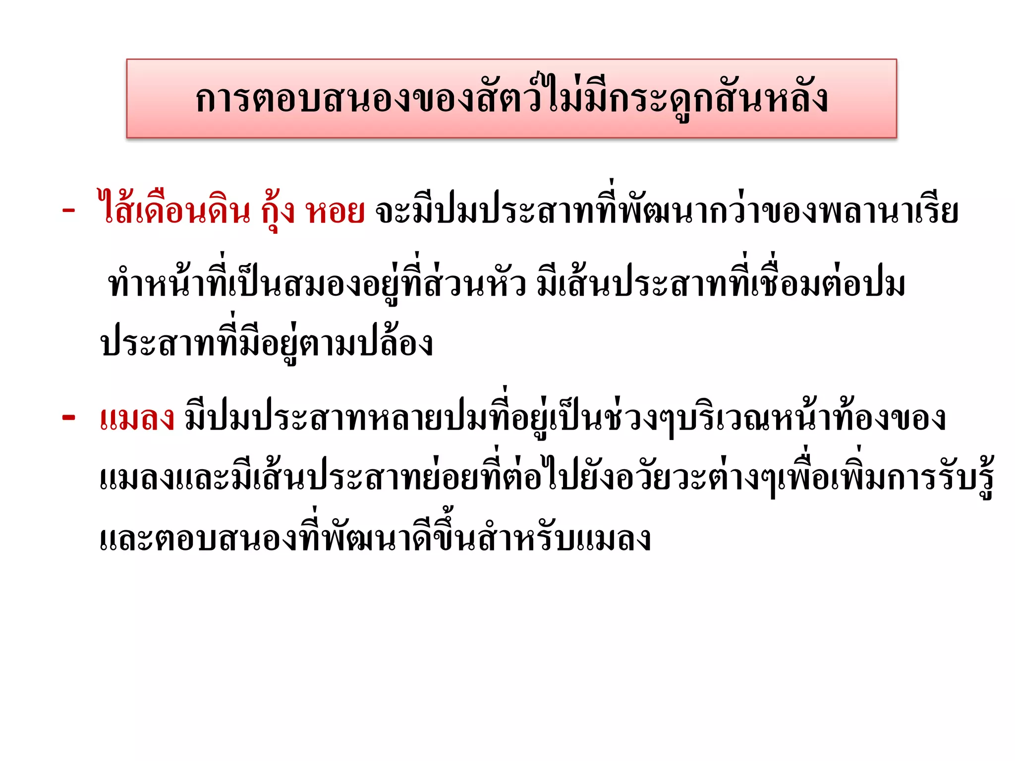การตอบสนองของสั ตว์ ไม่ มกระดูกสั นหลัง
                                  ี
- ไส้ เดือนดิน กุ้ง หอย จะมีปมประสาทที่พฒนากว่ าของพลานาเรีย
                                             ั
   ทาหน้ าทีเ่ ป็ นสมองอยู่ทส่วนหัว มีเส้ นประสาททีเ่ ชื่อมต่ อปม
                            ี่
  ประสาททีมีอยู่ตามปล้ อง
               ่
- แมลง มีปมประสาทหลายปมทีอยู่เป็ นช่ วงๆบริเวณหน้ าท้ องของ
                                    ่
  แมลงและมีเส้ นประสาทย่ อยทีต่อไปยังอวัยวะต่ างๆเพือเพิมการรับรู้
                                  ่                        ่ ่
  และตอบสนองที่พฒนาดีขนสาหรับแมลง
                      ั        ึ้
 