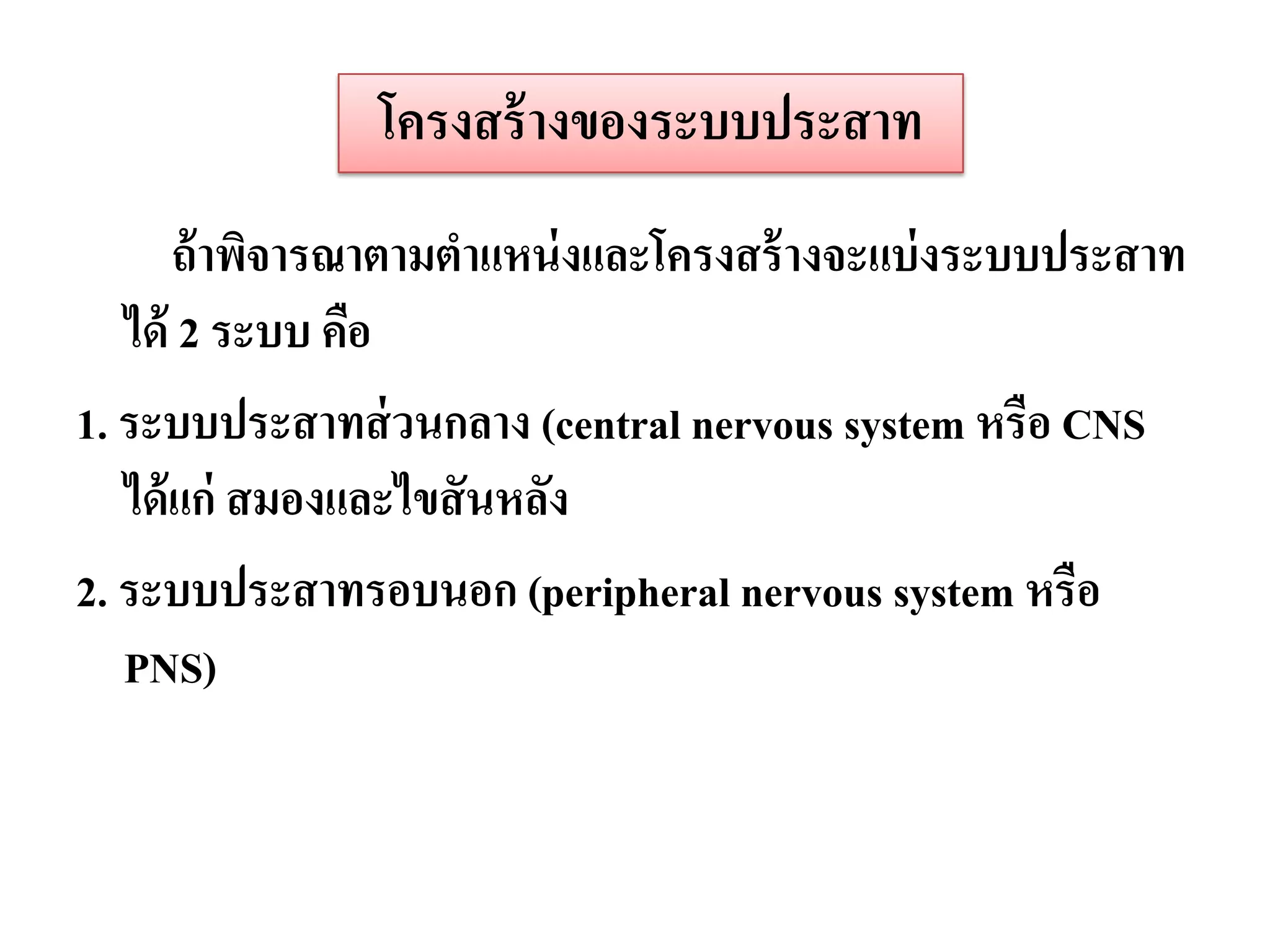 โครงสร้ างของระบบประสาท
       ถ้ าพิจารณาตามตาแหน่ งและโครงสร้ างจะแบ่ งระบบประสาท
   ได้ 2 ระบบ คือ
1. ระบบประสาทส่ วนกลาง (central nervous system หรือ CNS
   ได้ แก่ สมองและไขสั นหลัง
2. ระบบประสาทรอบนอก (peripheral nervous system หรือ
   PNS)
 