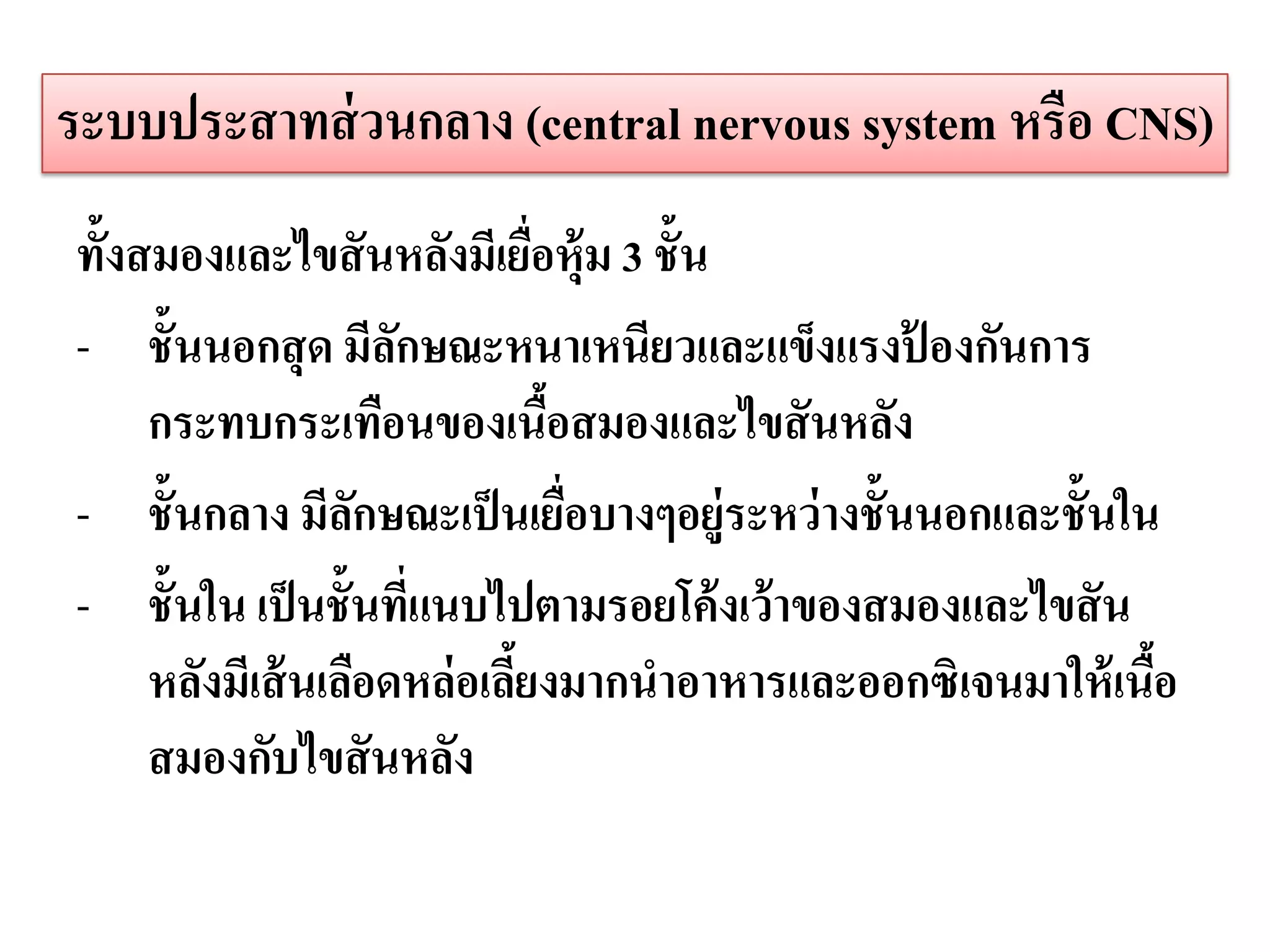 ระบบประสาทส่ วนกลาง (central nervous system หรือ CNS)
ทั้งสมองและไขสั นหลังมีเยือหุ้ม 3 ชั้น
                              ่
- ชั้นนอกสุ ด มีลกษณะหนาเหนียวและแข็งแรงปองกันการ
                     ั                         ้
     กระทบกระเทือนของเนือสมองและไขสั นหลัง
                                ้
- ชั้นกลาง มีลกษณะเป็ นเยือบางๆอยู่ระหว่ างชั้นนอกและชั้นใน
                   ั              ่
- ชั้นใน เป็ นชั้นทีแนบไปตามรอยโค้ งเว้ าของสมองและไขสั น
                       ่
     หลังมีเส้ นเลือดหล่อเลียงมากนาอาหารและออกซิเจนมาให้ เนือ
                            ้                               ้
     สมองกับไขสั นหลัง
 