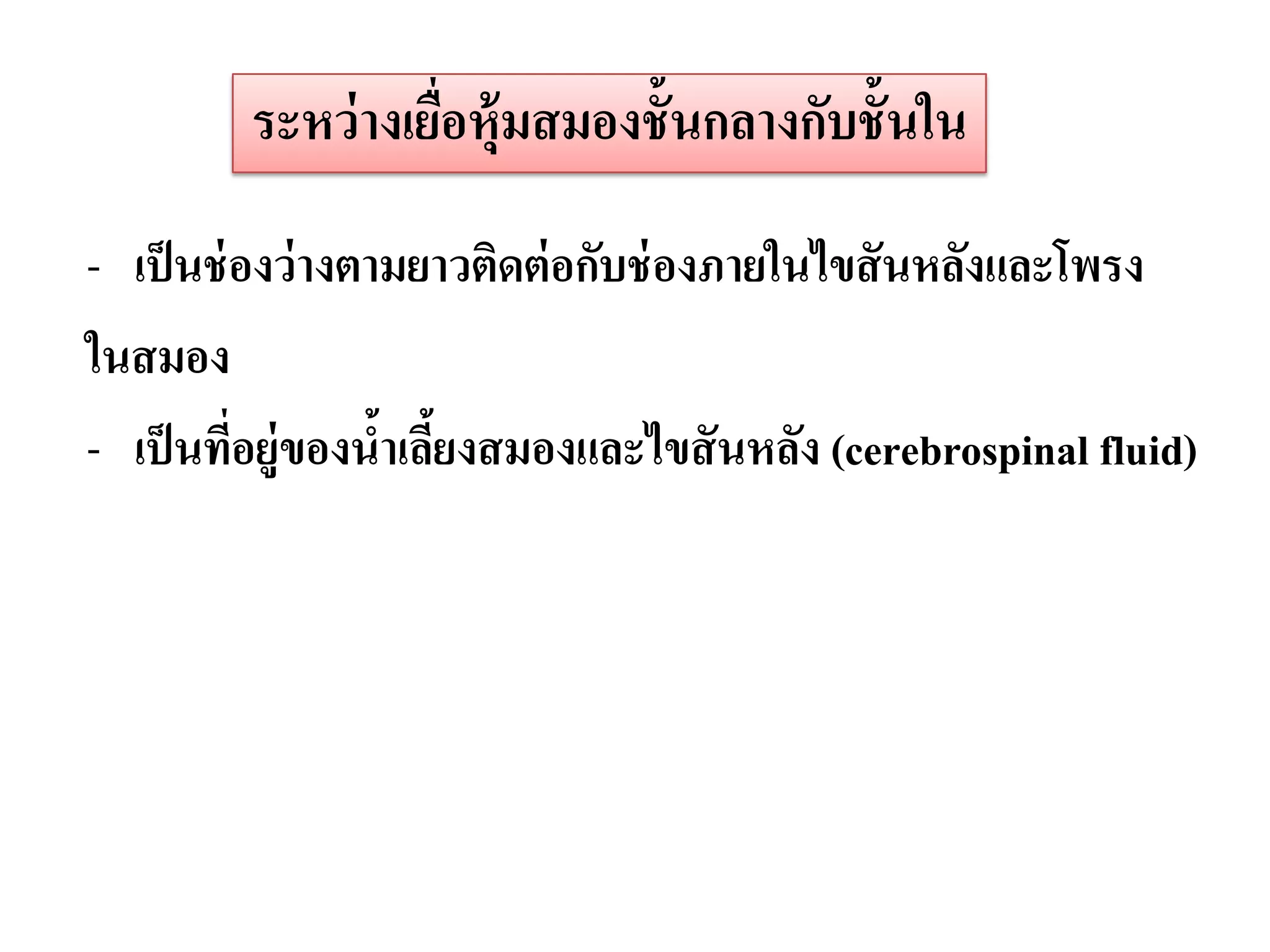 ระหว่ างเยือหุ้มสมองชั้นกลางกับชั้นใน
                    ่

- เป็ นช่ องว่ างตามยาวติดต่ อกับช่ องภายในไขสั นหลังและโพรง
ในสมอง
- เป็ นทีอยู่ของนาเลียงสมองและไขสั นหลัง (cerebrospinal fluid)
          ่        ้ ้
 