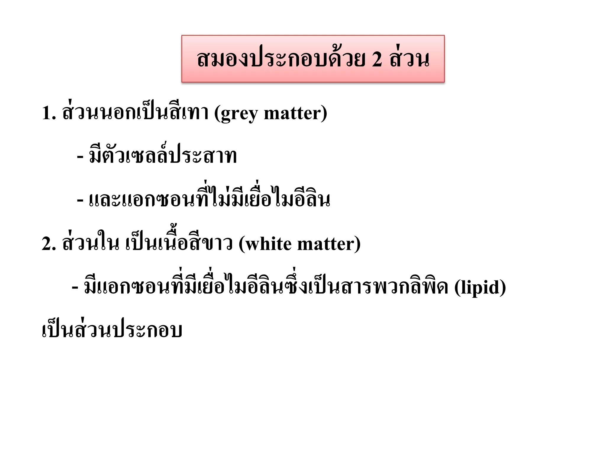 สมองประกอบด้ วย 2 ส่ วน
1. ส่ วนนอกเป็ นสี เทา (grey matter)
      - มีตวเซลล์ ประสาท
           ั
      - และแอกซอนที่ไม่ มีเยือไมอีลน
                             ่     ิ
2. ส่ วนใน เป็ นเนือสี ขาว (white matter)
                   ้
     - มีแอกซอนทีมีเยือไมอีลนซึ่งเป็ นสารพวกลิพด (lipid)
                     ่ ่       ิ               ิ
เป็ นส่ วนประกอบ
 