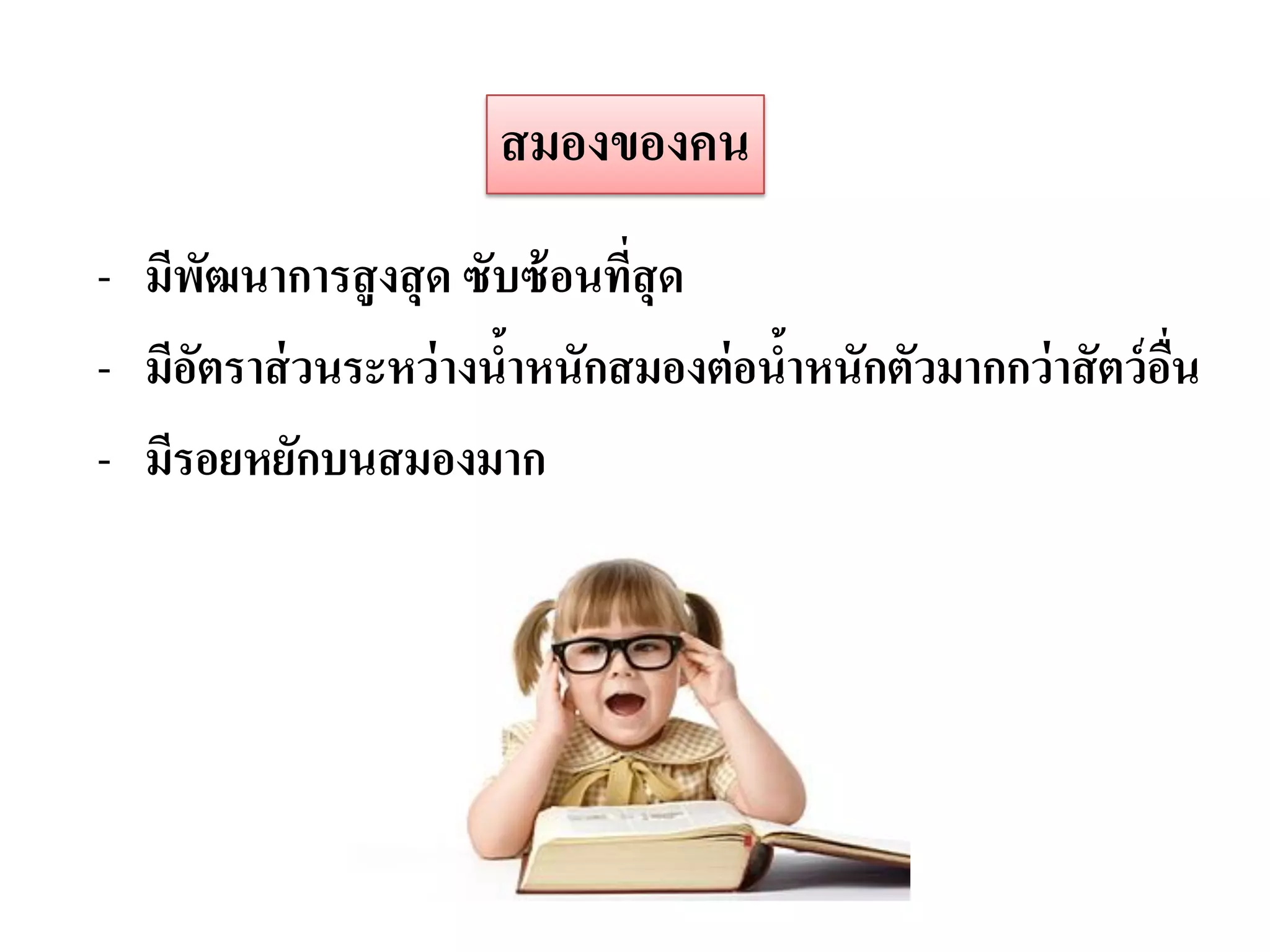 สมองของคน
- มีพฒนาการสู งสุ ด ซับซ้ อนทีสุด
       ั                      ่
- มีอตราส่ วนระหว่ างนาหนักสมองต่ อนาหนักตัวมากกว่ าสั ตว์ อน
     ั                 ้            ้                       ื่
- มีรอยหยักบนสมองมาก
 