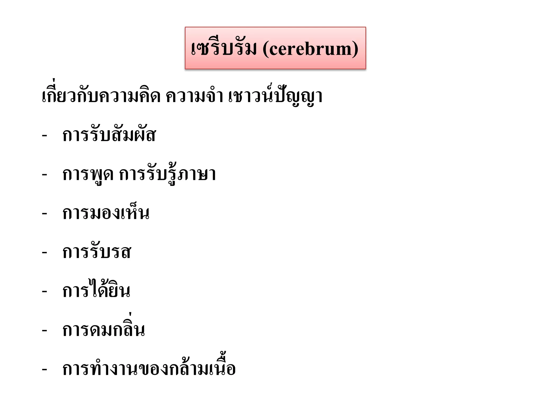 เซรีบรัม (cerebrum)
เกียวกับความคิด ความจา เชาวน์ ปัญญา
   ่
- การรับสั มผัส
- การพูด การรับรู้ ภาษา
- การมองเห็น
- การรับรส
- การได้ ยน
          ิ
- การดมกลิน ่
- การทางานของกล้ ามเนือ ้
 