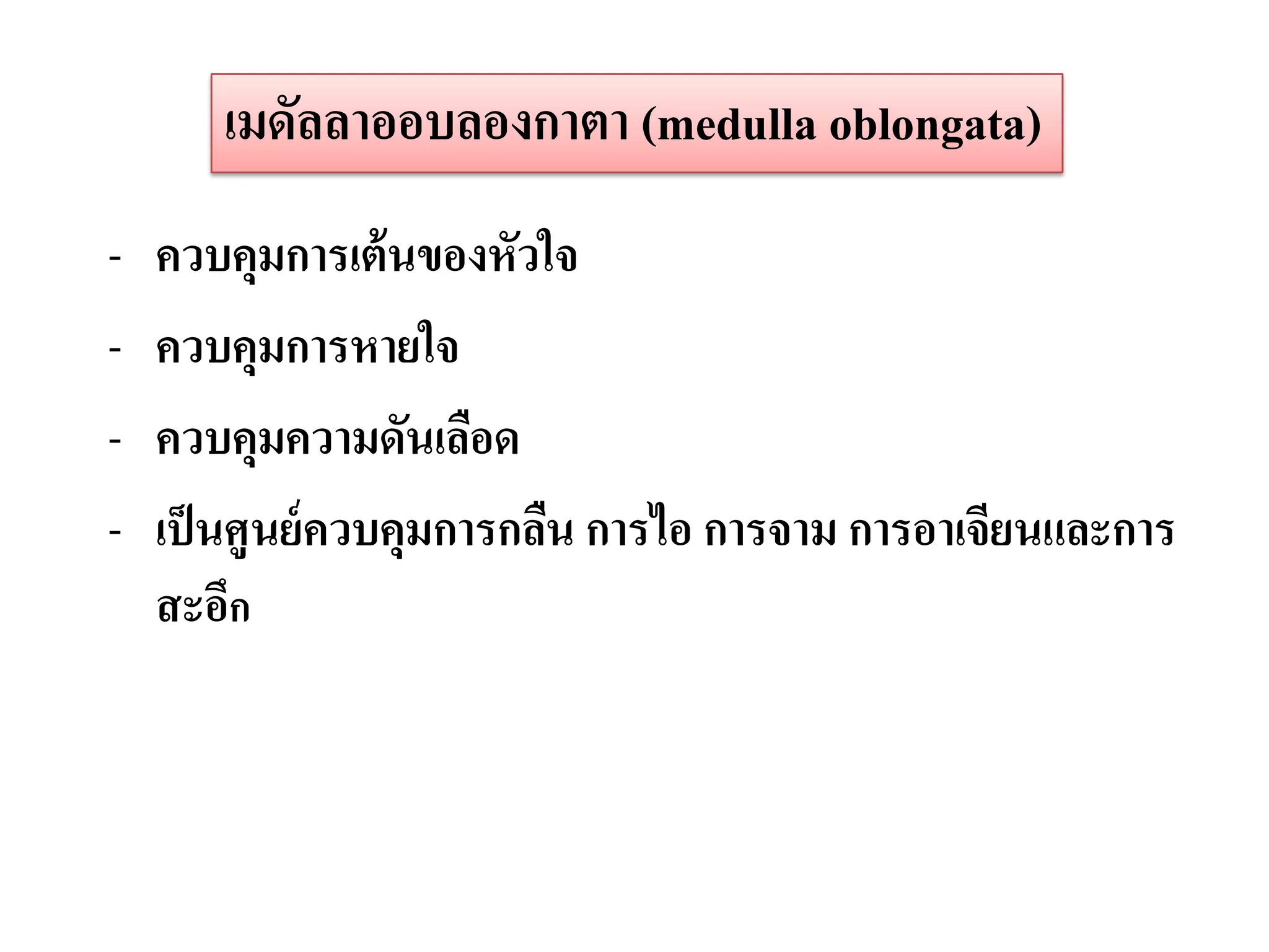 เมดัลลาออบลองกาตา (medulla oblongata)
-   ควบคุมการเต้ นของหัวใจ
-   ควบคุมการหายใจ
-   ควบคุมความดันเลือด
-   เป็ นศูนย์ ควบคุมการกลืน การไอ การจาม การอาเจียนและการ
    สะอึก
 