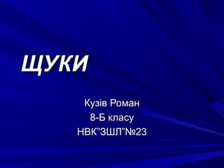 ЩУКИ
    Кузів Роман
     8-Б класу
   НВК”ЗШЛ”№23
 
