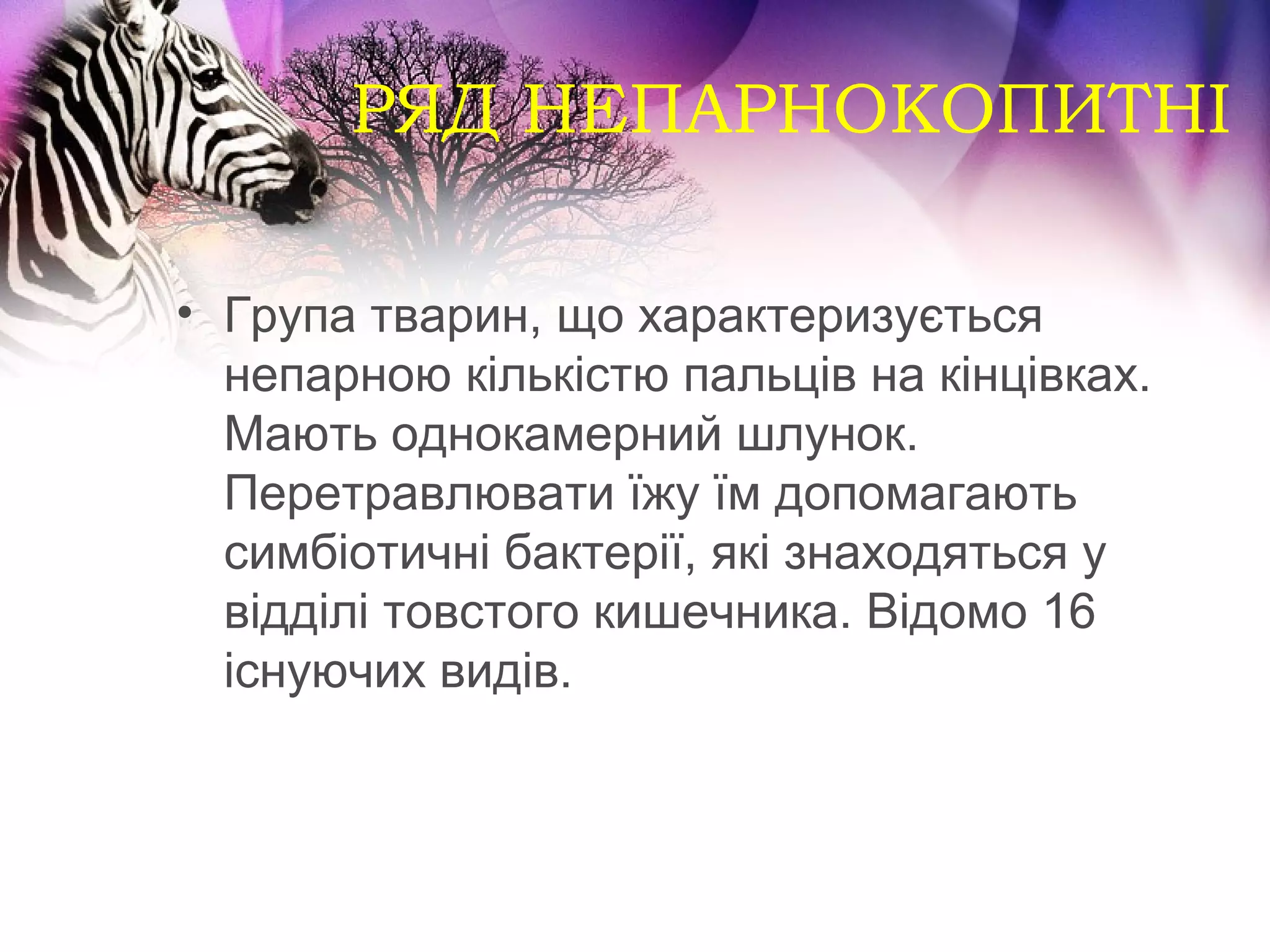 РЯД НЕПАРНОКОПИТНІ

• Група тварин, що характеризується
  непарною кількістю пальців на кінцівках.
  Мають однокамерний шлунок.
  Перетравлювати їжу їм допомагають
  симбіотичні бактерії, які знаходяться у
  відділі товстого кишечника. Відомо 16
  існуючих видів.
 