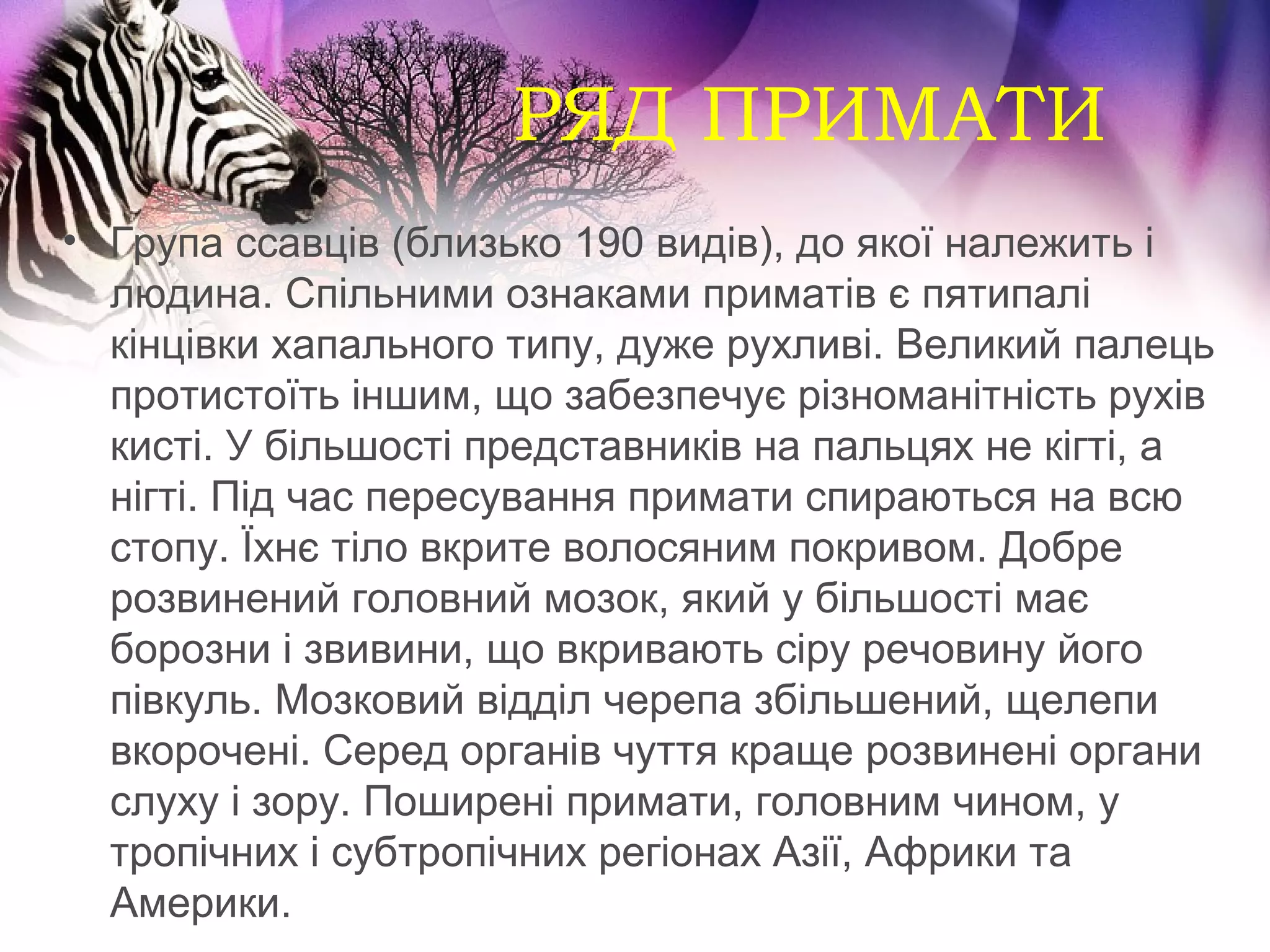РЯД ПРИМАТИ
• Група ссавців (близько 190 видів), до якої належить і
  людина. Спільними ознаками приматів є пятипалі
  кінцівки хапального типу, дуже рухливі. Великий палець
  протистоїть іншим, що забезпечує різноманітність рухів
  кисті. У більшості представників на пальцях не кігті, а
  нігті. Під час пересування примати спираються на всю
  стопу. Їхнє тіло вкрите волосяним покривом. Добре
  розвинений головний мозок, який у більшості має
  борозни і звивини, що вкривають сіру речовину його
  півкуль. Мозковий відділ черепа збільшений, щелепи
  вкорочені. Серед органів чуття краще розвинені органи
  слуху і зору. Поширені примати, головним чином, у
  тропічних і субтропічних регіонах Азії, Африки та
  Америки.
 