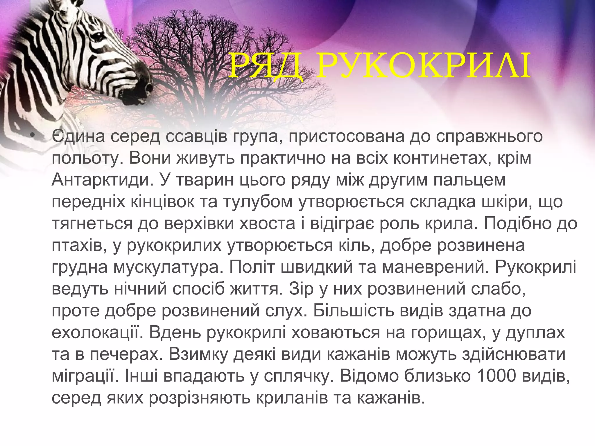 РЯД РУКОКРИЛІ
• Єдина серед ссавців група, пристосована до справжнього
  польоту. Вони живуть практично на всіх континетах, крім
  Антарктиди. У тварин цього ряду між другим пальцем
  передніх кінцівок та тулубом утворюється складка шкіри, що
  тягнеться до верхівки хвоста і відіграє роль крила. Подібно до
  птахів, у рукокрилих утворюється кіль, добре розвинена
  грудна мускулатура. Політ швидкий та маневрений. Рукокрилі
  ведуть нічний спосіб життя. Зір у них розвинений слабо,
  проте добре розвинений слух. Більшість видів здатна до
  ехолокації. Вдень рукокрилі ховаються на горищах, у дуплах
  та в печерах. Взимку деякі види кажанів можуть здійснювати
  міграції. Інші впадають у сплячку. Відомо близько 1000 видів,
  серед яких розрізняють криланів та кажанів.
 