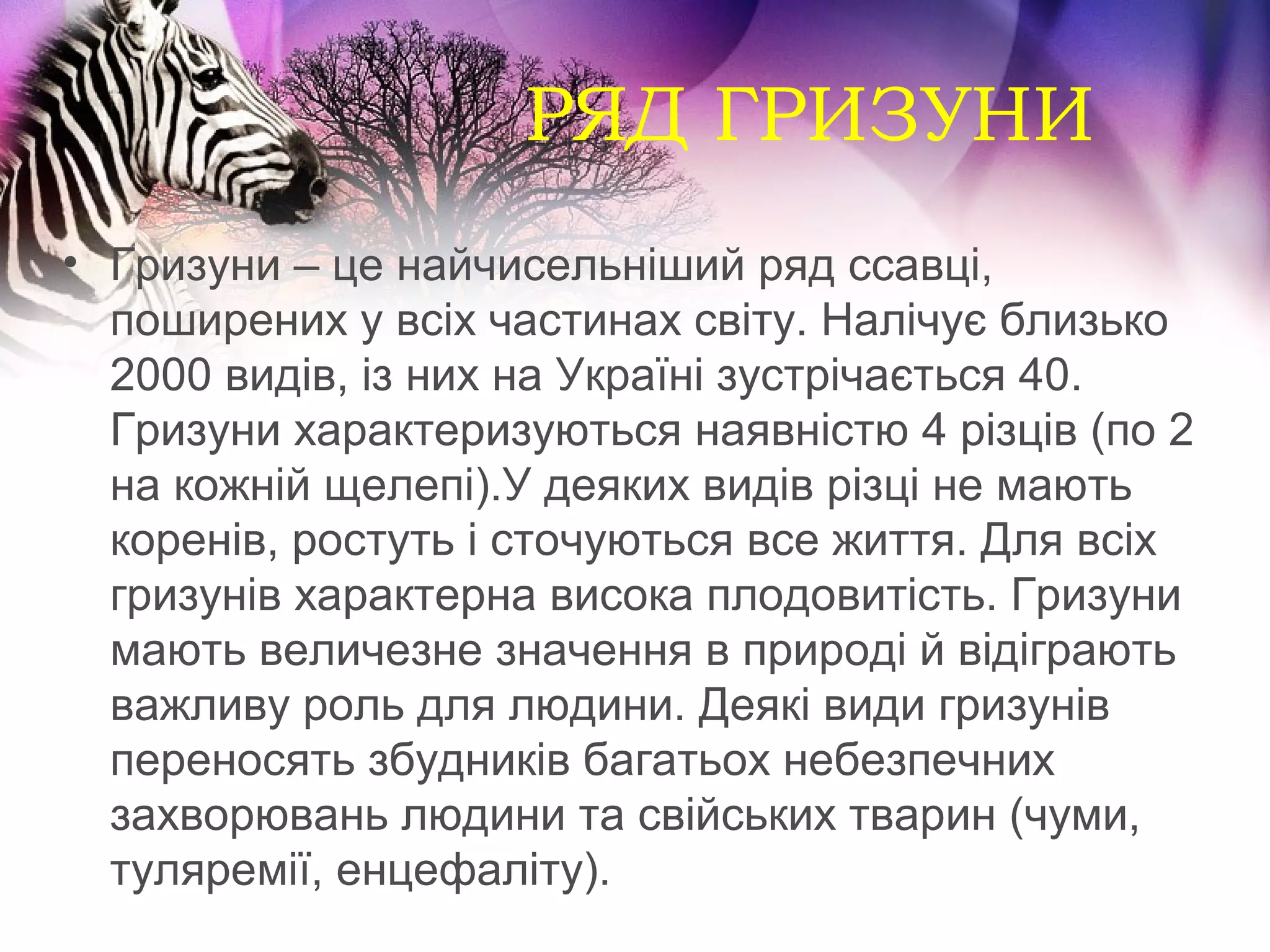 РЯД ГРИЗУНИ
• Гризуни – це найчисельніший ряд ссавці,
  поширених у всіх частинах світу. Налічує близько
  2000 видів, із них на Україні зустрічається 40.
  Гризуни характеризуються наявністю 4 різців (по 2
  на кожній щелепі).У деяких видів різці не мають
  коренів, ростуть і сточуються все життя. Для всіх
  гризунів характерна висока плодовитість. Гризуни
  мають величезне значення в природі й відіграють
  важливу роль для людини. Деякі види гризунів
  переносять збудників багатьох небезпечних
  захворювань людини та свійських тварин (чуми,
  туляремії, енцефаліту).
 