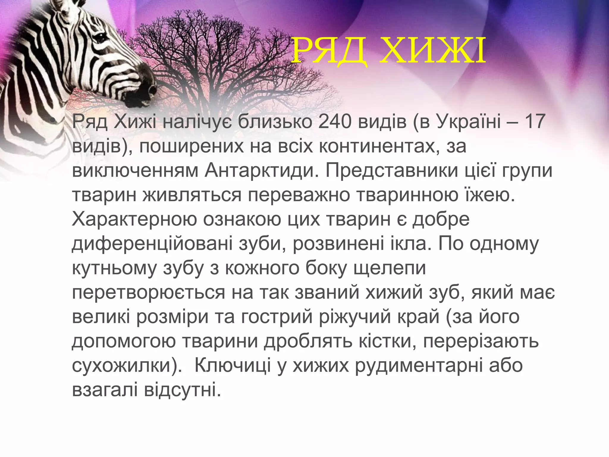 РЯД ХИЖІ
• Ряд Хижі налічує близько 240 видів (в Україні – 17
  видів), поширених на всіх континентах, за
  виключенням Антарктиди. Представники цієї групи
  тварин живляться переважно тваринною їжею.
  Характерною ознакою цих тварин є добре
  диференційовані зуби, розвинені ікла. По одному
  кутньому зубу з кожного боку щелепи
  перетворюється на так званий хижий зуб, який має
  великі розміри та гострий ріжучий край (за його
  допомогою тварини дроблять кістки, перерізають
  сухожилки). Ключиці у хижих рудиментарні або
  взагалі відсутні.
 