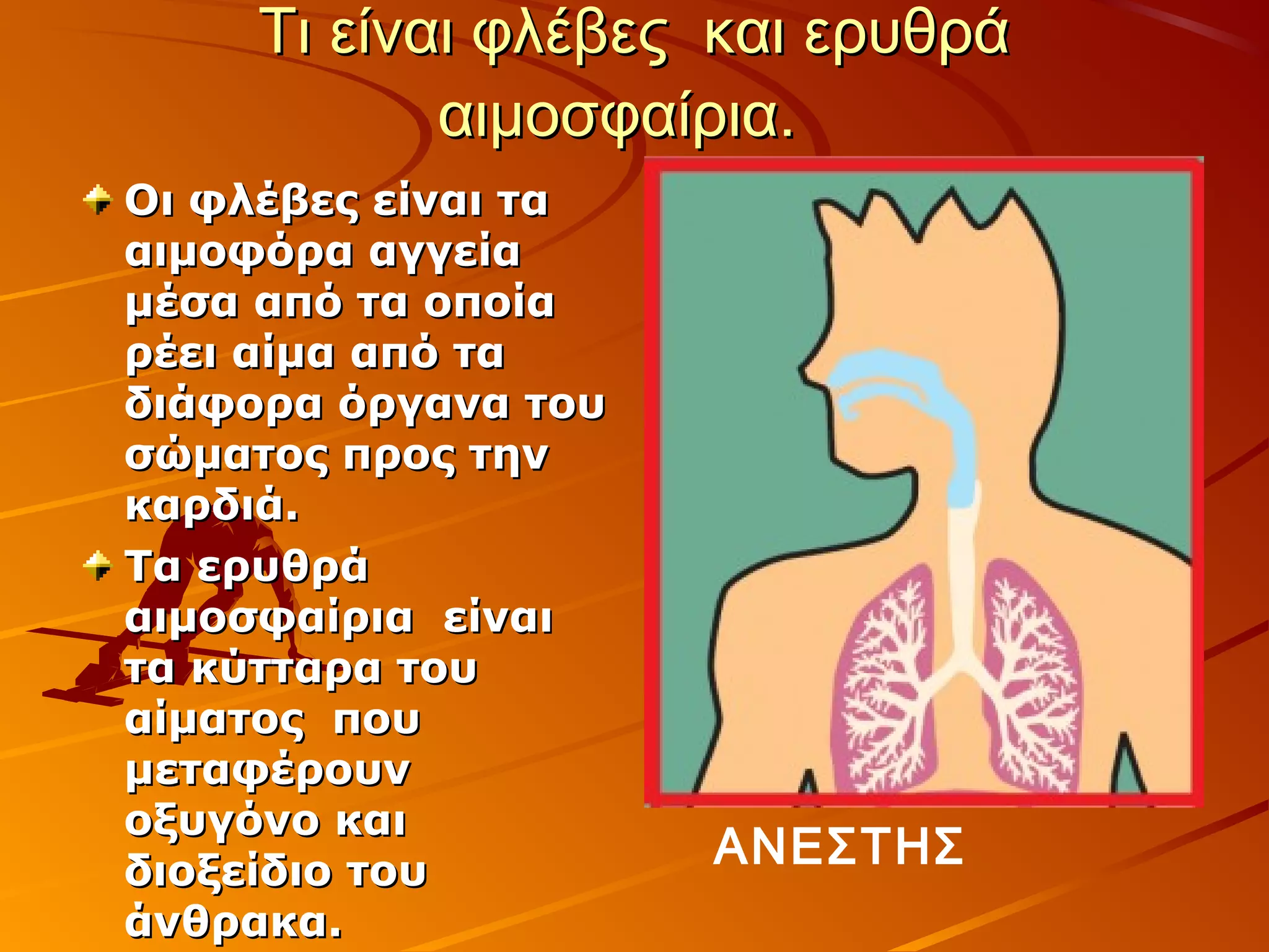 Τι είναι φλέβες και ερυθρά
           αιμοσφαίρια.
Οι φλέβες είναι τα
αιμοφόρα αγγεία
μέσα από τα οποία
ρέει αίμα από τα
διάφορα όργανα του
σώματος προς την
καρδιά.
Τα ερυθρά
αιμοσφαίρια είναι
τα κύτταρα του
αίματος που
μεταφέρουν
οξυγόνο και
διοξείδιο του
                     ΑΝΕΣΤΗΣ
άνθρακα.
 