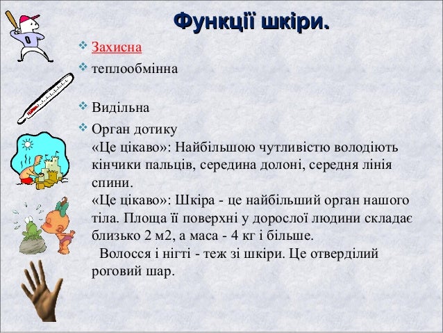 шкіра
