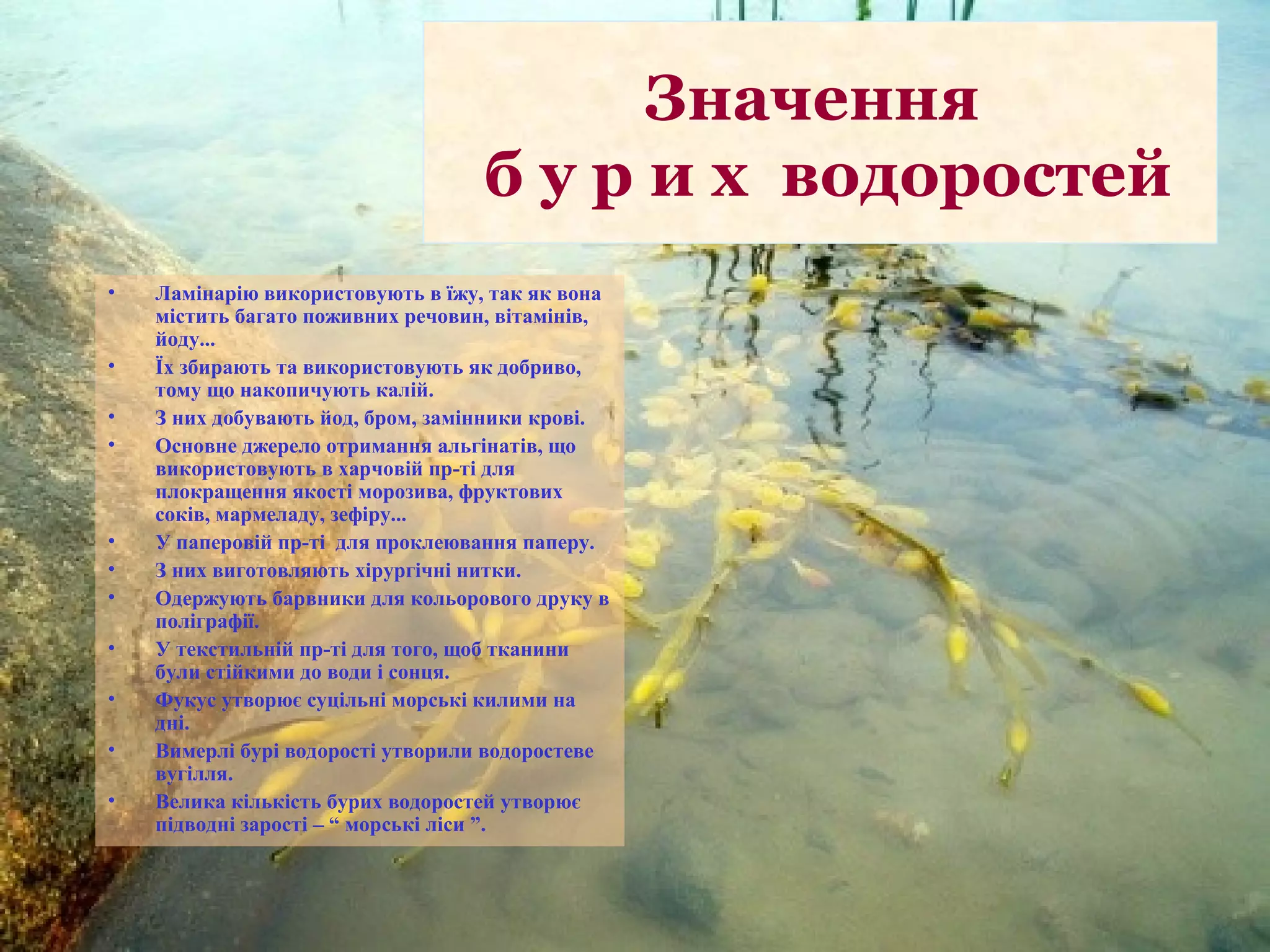 Значення
                                   б у р и х водоростей
•   Ламінарію використовують в їжу, так як вона
    містить багато поживних речовин, вітамінів,
    йоду...
•   Їх збирають та використовують як добриво,
    тому що накопичують калій.
•   З них добувають йод, бром, замінники крові.
•   Основне джерело отримання альгінатів, що
    використовують в харчовій пр-ті для
    плокращення якості морозива, фруктових
    соків, мармеладу, зефіру...
•   У паперовій пр-ті для проклеювання паперу.
•   З них виготовляють хірургічні нитки.
•   Одержують барвники для кольорового друку в
    поліграфії.
•   У текстильній пр-ті для того, щоб тканини
    були стійкими до води і сонця.
•   Фукус утворює суцільні морські килими на
    дні.
•   Вимерлі бурі водорості утворили водоростеве
    вугілля.
•   Велика кількість бурих водоростей утворює
    підводні зарості – “ морські ліси ”.
 