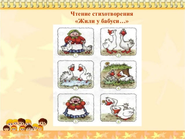 Овощи или фрукты синего цвета Овощи или фрукты синего цвета