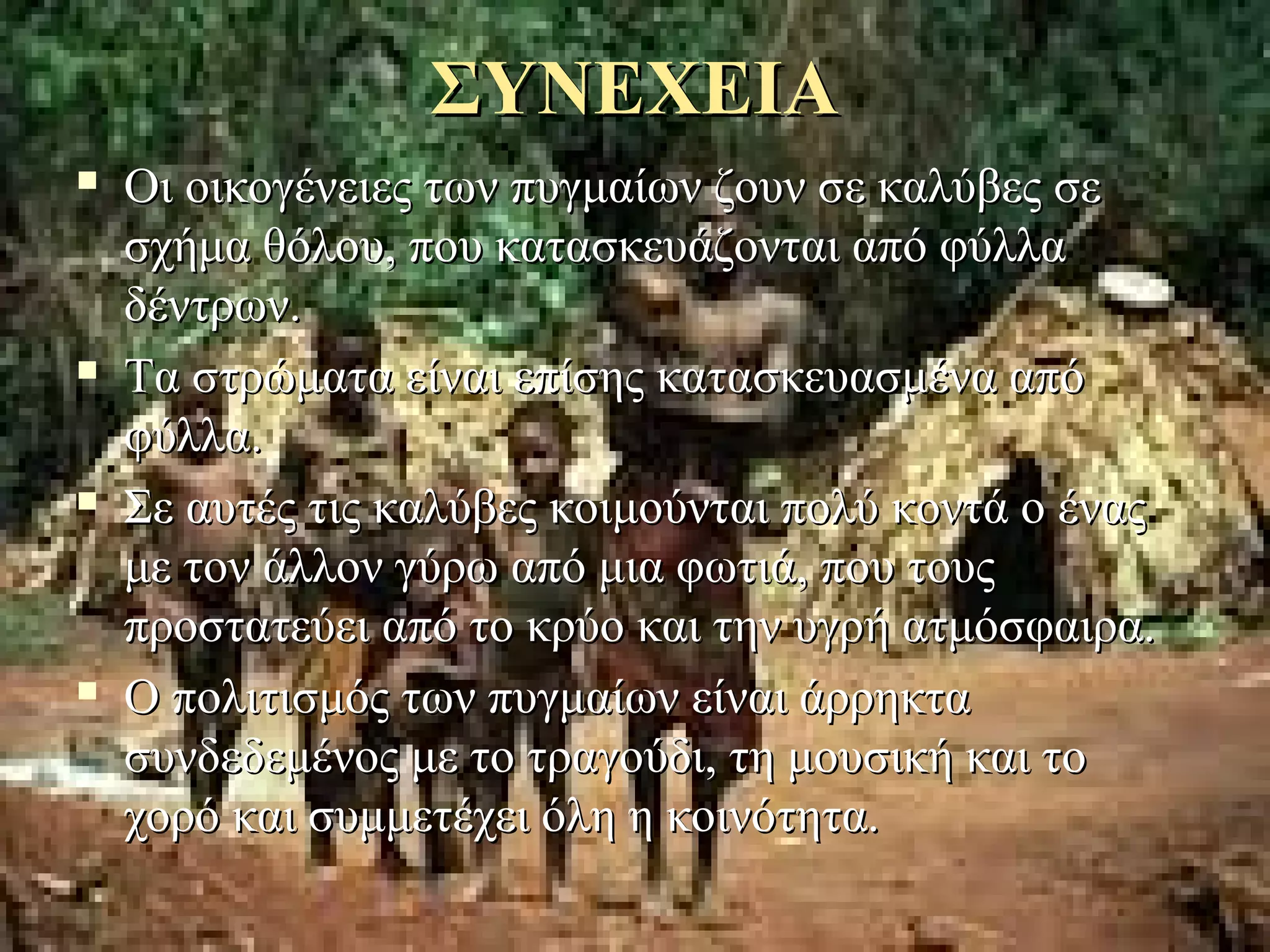 ΣΥΝΕΧΕΙΑ
   Οι οικογένειες των πυγμαίων ζουν σε καλύβες σε 
    σχήμα θόλου, που κατασκευάζονται από φύλλα 
    δέντρων. 
   Τα στρώματα είναι επίσης κατασκευασμένα από 
    φύλλα. 
   Σε αυτές τις καλύβες κοιμούνται πολύ κοντά ο ένας 
    με τον άλλον γύρω από μια φωτιά, που τους 
    προστατεύει από το κρύο και την υγρή ατμόσφαιρα. 
   Ο πολιτισμός των πυγμαίων είναι άρρηκτα 
    συνδεδεμένος με το τραγούδι, τη μουσική και το 
    χορό και συμμετέχει όλη η κοινότητα.  
 