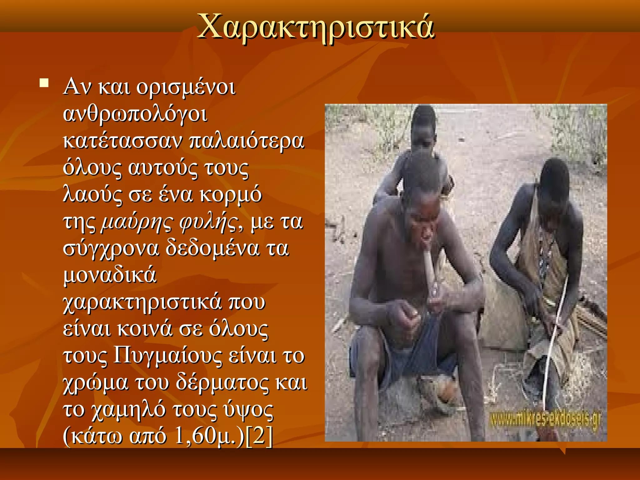 Χαρακτηριστικά
   Αν και ορισμένοι
    ανθρωπολόγοι
    κατέτασσαν παλαιότερα
    όλους αυτούς τους
    λαούς σε ένα κορμό
    της μαύρης φυλής, με τα
    σύγχρονα δεδομένα τα
    μοναδικά
    χαρακτηριστικά που
    είναι κοινά σε όλους
    τους Πυγμαίους είναι το
    χρώμα του δέρματος και
    το χαμηλό τους ύψος
    (κάτω από 1,60μ.)[2]
 