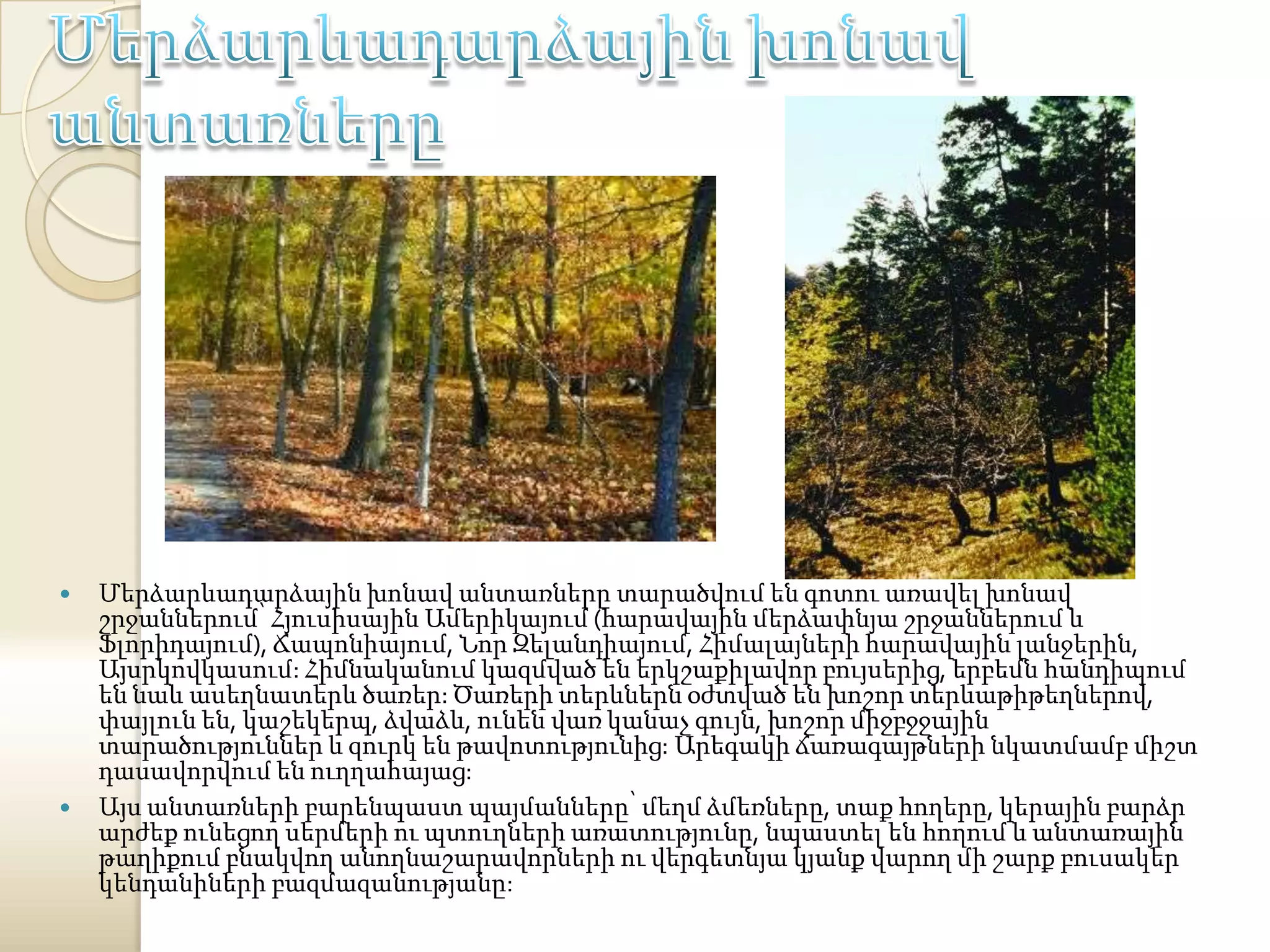    Մերձարևադարձային խոնավ անտառները տարածվում են գոտու առավել խոնավ
    շրջաններում՝ Հյուսիսային Ամերիկայում (հարավային մերձափնյա շրջաններում և
    Ֆլորիդայում), Ճապոնիայում, Նոր Զելանդիայում, Հիմալայների հարավային լանջերին,
    Այսրկովկասում: Հիմնականում կազմված են երկշաքիլավոր բույսերից, երբեմն հանդիպում
    են նաև ասեղնատերև ծառեր: Ծառերի տերևներն օժտված են խոշոր տերևաթիթեղներով,
    փայլուն են, կաշեկերպ, ձվաձև, ունեն վառ կանաչ գույն, խոշոր միջբջջային
    տարածություններ և զուրկ են թավոտությունից: Արեգակի ճառագայթների նկատմամբ միշտ
    դասավորվում են ուղղահայաց:
   Այս անտառների բարենպաստ պայմանները՝ մեղմ ձմեռները, տաք հողերը, կերային բարձր
    արժեք ունեցող սերմերի ու պտուղների առատությունը, նպաստել են հողում և անտառային
    թաղիքում բնակվող անողնաշարավորների ու վերգետնյա կյանք վարող մի շարք բուսակեր
    կենդանիների բազմազանությանը:
 