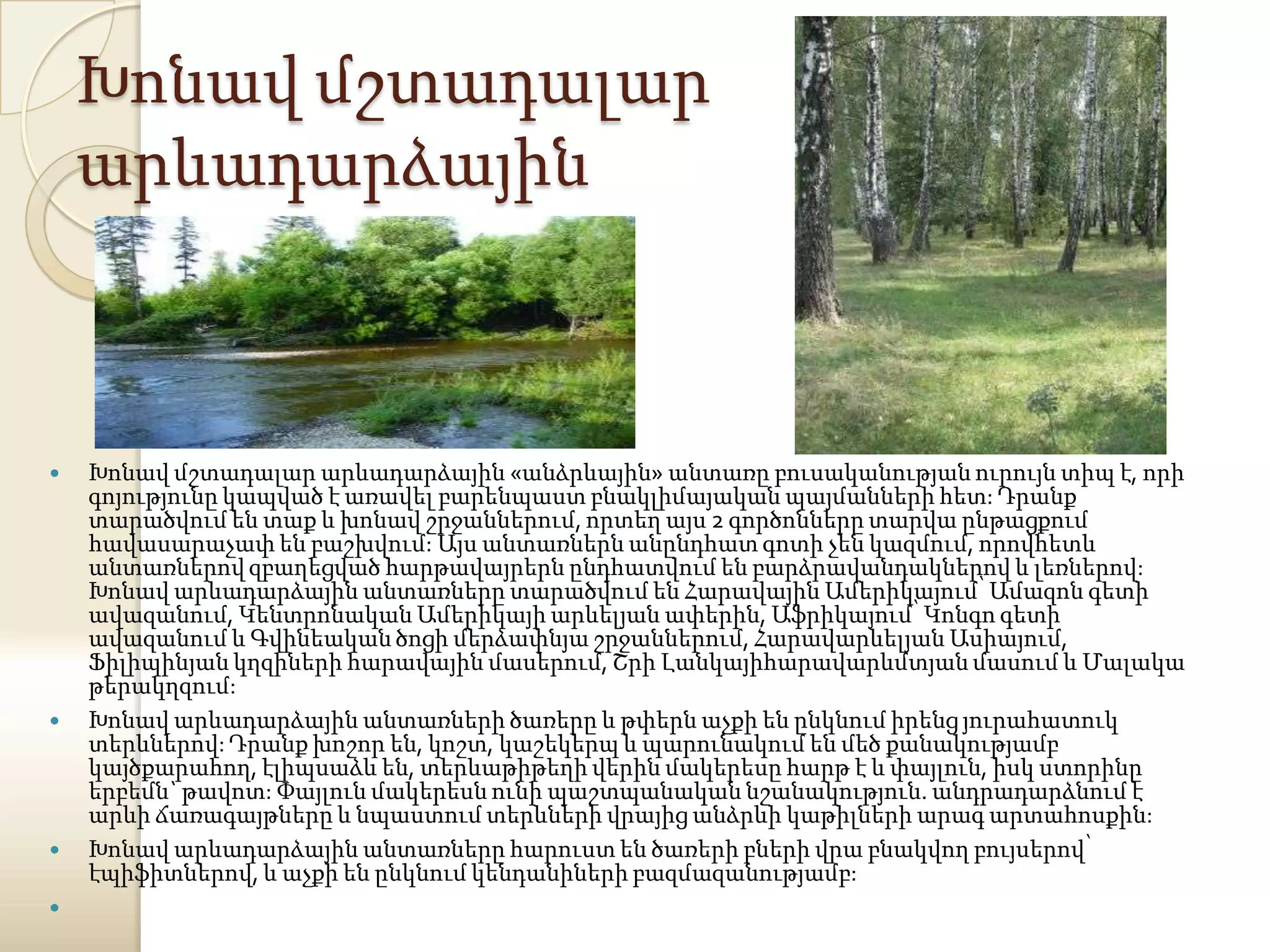 Խոնավ մշտադալար
    արևադարձային



   Խոնավ մշտադալար արևադարձային «անձրևային» անտառը բուսականության ուրույն տիպ է, որի
    գոյությունը կապված է առավել բարենպաստ բնակլիմայական պայմանների հետ: Դրանք
    տարածվում են տաք և խոնավ շրջաններում, որտեղ այս 2 գործոնները տարվա ընթացքում
    հավասարաչափ են բաշխվում: Այս անտառներն անընդհատ գոտի չեն կազմում, որովհետև
    անտառներով զբաղեցված հարթավայրերն ընդհատվում են բարձրավանդակներով և լեռներով:
    Խոնավ արևադարձային անտառները տարածվում են Հարավային Ամերիկայում՝ Ամազոն գետի
    ավազանում, Կենտրոնական Ամերիկայի արևելյան ափերին, Աֆրիկայում՝ Կոնգո գետի
    ավազանում և Գվինեական ծոցի մերձափնյա շրջաններում, Հարավարևելյան Ասիայում,
    Ֆիլիպինյան կղզիների հարավային մասերում, Շրի Լանկայիհարավարևմտյան մասում և Մալակա
    թերակղզում:
   Խոնավ արևադարձային անտառների ծառերը և թփերն աչքի են ընկնում իրենց յուրահատուկ
    տերևներով: Դրանք խոշոր են, կոշտ, կաշեկերպ և պարունակում են մեծ քանակությամբ
    կայծքարահող, էլիպսաձև են, տերևաթիթեղի վերին մակերեսը հարթ է և փայլուն, իսկ ստորինը
    երբեմն` թավոտ: Փայլուն մակերեսն ունի պաշտպանական նշանակություն. անդրադարձնում է
    արևի ճառագայթները և նպաստում տերևների վրայից անձրևի կաթիլների արագ արտահոսքին:
   Խոնավ արևադարձային անտառները հարուստ են ծառերի բների վրա բնակվող բույսերով՝
    էպիֆիտներով, և աչքի են ընկնում կենդանիների բազմազանությամբ:

 