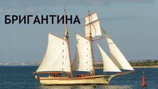 Парусные корабли