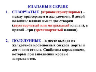 КЛАПАНЫ В СЕРДЦЕ
1. СТВОРЧАТЫЕ (атриовентрикулярные) –
   между предсердием и желудочком. В левой
   половине клапан имеет две створки
   (двустворчатый или митральный клапан), в
   правой –три (трехстворчатый клапан).

2. ПОЛУЛУННЫЕ – в месте выхода из
   желудочков кровеносных сосудов аорты и
   легочного ствола. Снабжены кармашками,
   которые при заполнении кровью
   закрываются.
 