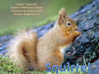 Project: “Squirrels”
Student: Plekhanova Valeria
School № 54, Saratov, 2013
   Teacher: Sergeeva E. V.




     Lynx
 