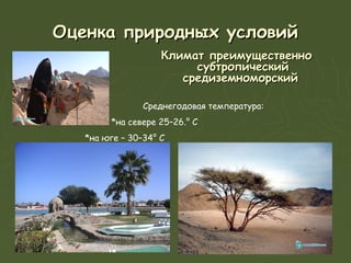 Оценка природных условий
                    Климат преимущественно
                         субтропический
                       средиземноморский

                Среднегодовая температура:
        *на севере 25–26.° С
   *на юге – 30–34° С
 