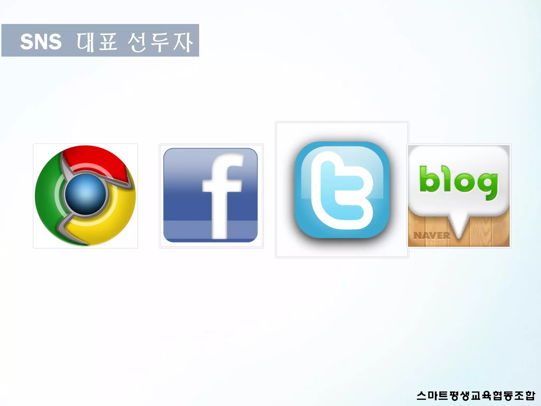 SNS 대표 선두자
 