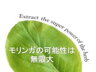 モリンガ農園とりんご農園。この２つの繋がりは？




  モリンガ             りんご
 