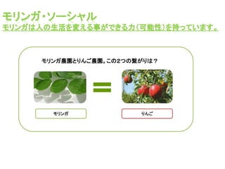 富士リンゴの発展サイクル

１                                ２                           ３
                           市場に               ...
