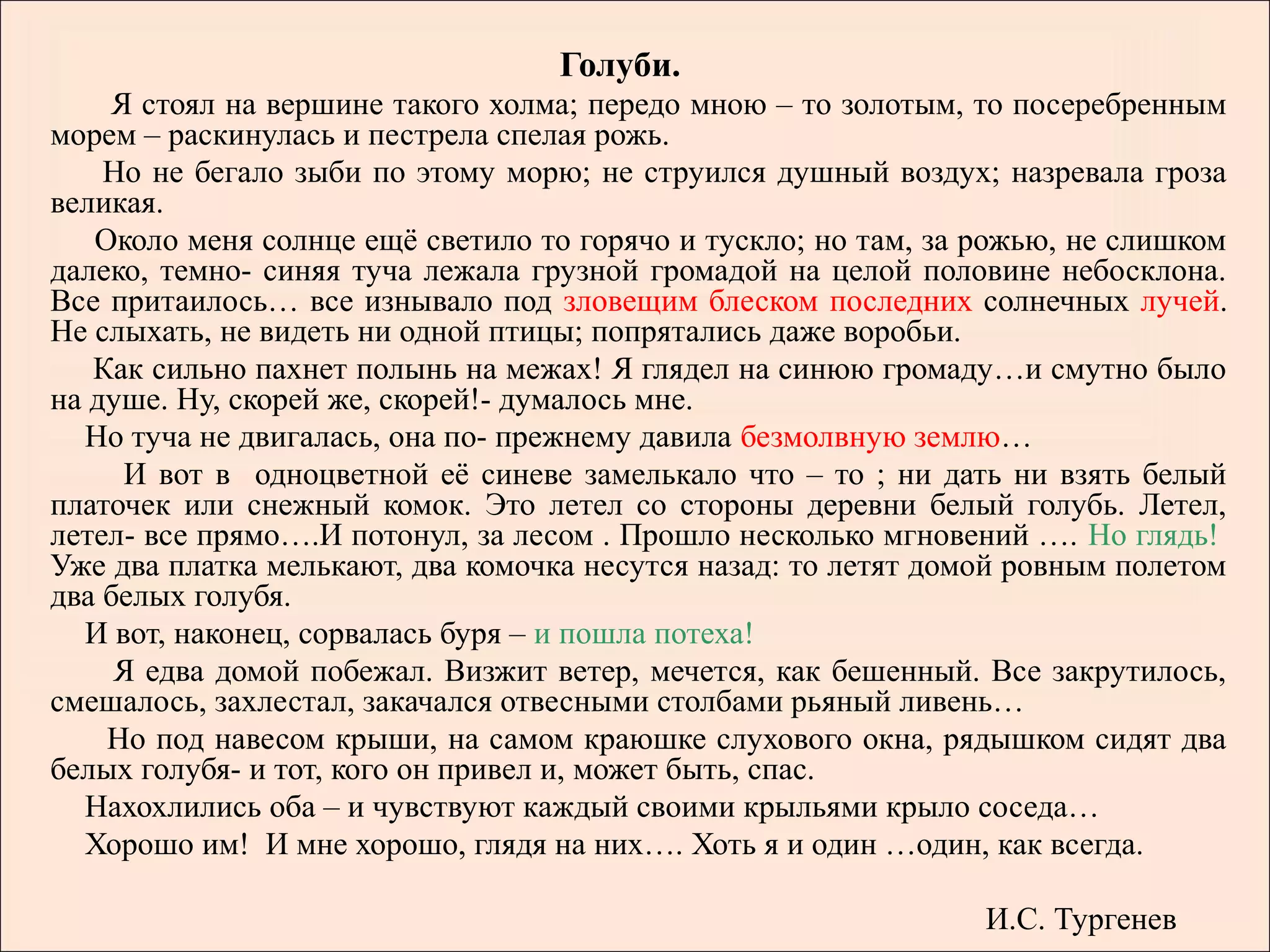 Голуби.
    Я стоял на вершине такого холма; передо мною – то золотым, то посеребренным
морем – раскинулась и пестрела спелая рожь.
    Но не бегало зыби по этому морю; не струился душный воздух; назревала гроза
великая.
   Около меня солнце ещё светило то горячо и тускло; но там, за рожью, не слишком
далеко, темно- синяя туча лежала грузной громадой на целой половине небосклона.
Все притаилось… все изнывало под зловещим блеском последних солнечных лучей.
Не слыхать, не видеть ни одной птицы; попрятались даже воробьи.
   Как сильно пахнет полынь на межах! Я глядел на синюю громаду…и смутно было
на душе. Ну, скорей же, скорей!- думалось мне.
  Но туча не двигалась, она по- прежнему давила безмолвную землю…
     И вот в одноцветной её синеве замелькало что – то ; ни дать ни взять белый
платочек или снежный комок. Это летел со стороны деревни белый голубь. Летел,
летел- все прямо….И потонул, за лесом . Прошло несколько мгновений …. Но глядь!
Уже два платка мелькают, два комочка несутся назад: то летят домой ровным полетом
два белых голубя.
  И вот, наконец, сорвалась буря – и пошла потеха!
     Я едва домой побежал. Визжит ветер, мечется, как бешенный. Все закрутилось,
смешалось, захлестал, закачался отвесными столбами рьяный ливень…
    Но под навесом крыши, на самом краюшке слухового окна, рядышком сидят два
белых голубя- и тот, кого он привел и, может быть, спас.
  Нахохлились оба – и чувствуют каждый своими крыльями крыло соседа…
  Хорошо им! И мне хорошо, глядя на них…. Хоть я и один …один, как всегда.

                                                                И.С. Тургенев
 