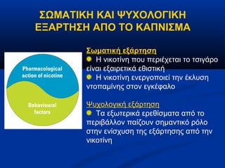 ΣΩΜΑΤΙΚΗ ΚΑΙ ΨΥΧΟΛΟΓΙΚΗ
ΕΞΑΡΤΗΣΗ ΑΠΟ ΤΟ ΚΑΠΝΙΣΜΑ

       Σωματική εξάρτηση
          Η νικοτίνη που περιέχεται το τσιγάρο
       είναι εξαιρετικά εθιστική
          Η νικοτίνη ενεργοποιεί την έκλυση
       ντοπαμίνης στον εγκέφαλο

       Ψυχολογική εξάρτηση
          Τα εξωτερικά ερεθίσματα από το
       περιβάλλον παίζουν σημαντικό ρόλο
       στην ενίσχυση της εξάρτησης από την
       νικοτίνη
 
