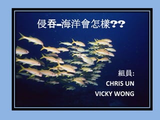 -??



             MT:
         CHRIS UN
      VICKY WONG
 