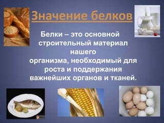 Значение белков
   Белки – это основной
  строительный материал
           нашего
организма, необходимый для
    роста и поддержания
важнейших органов и тканей.
 