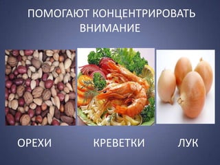 ПОМОГАЮТ КОНЦЕНТРИРОВАТЬ
        ВНИМАНИЕ




ОРЕХИ     КРЕВЕТКИ    ЛУК
 