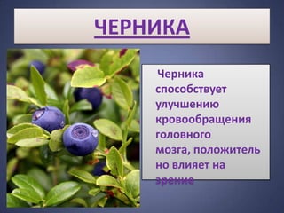 ЧЕРНИКА
    Черника
    способствует
    улучшению
    кровообращения
    головного
    мозга, положитель
    но влияет на
    зрение
 