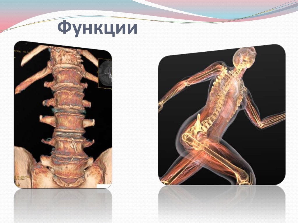 Спондилез поясничного отдела позвоночника
