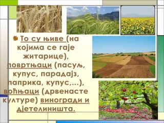 агроекосистеми