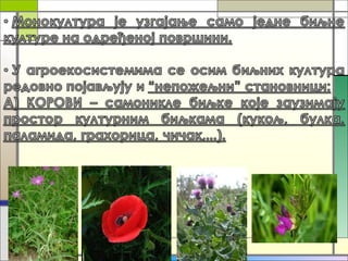 агроекосистеми