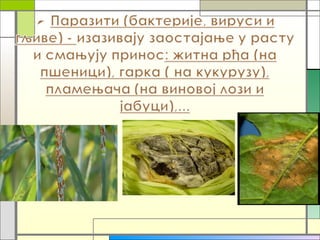 агроекосистеми