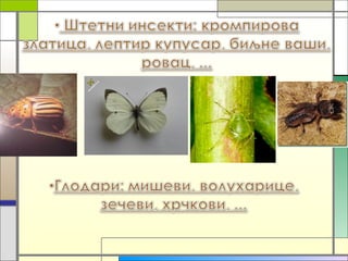 агроекосистеми