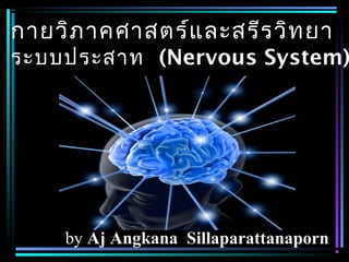 กายวิภ าคศาสตร์แ ละสรีร วิท ยา
ระบบประสาท (Nervous System)




     by Aj Angkana Sillaparattanaporn
 