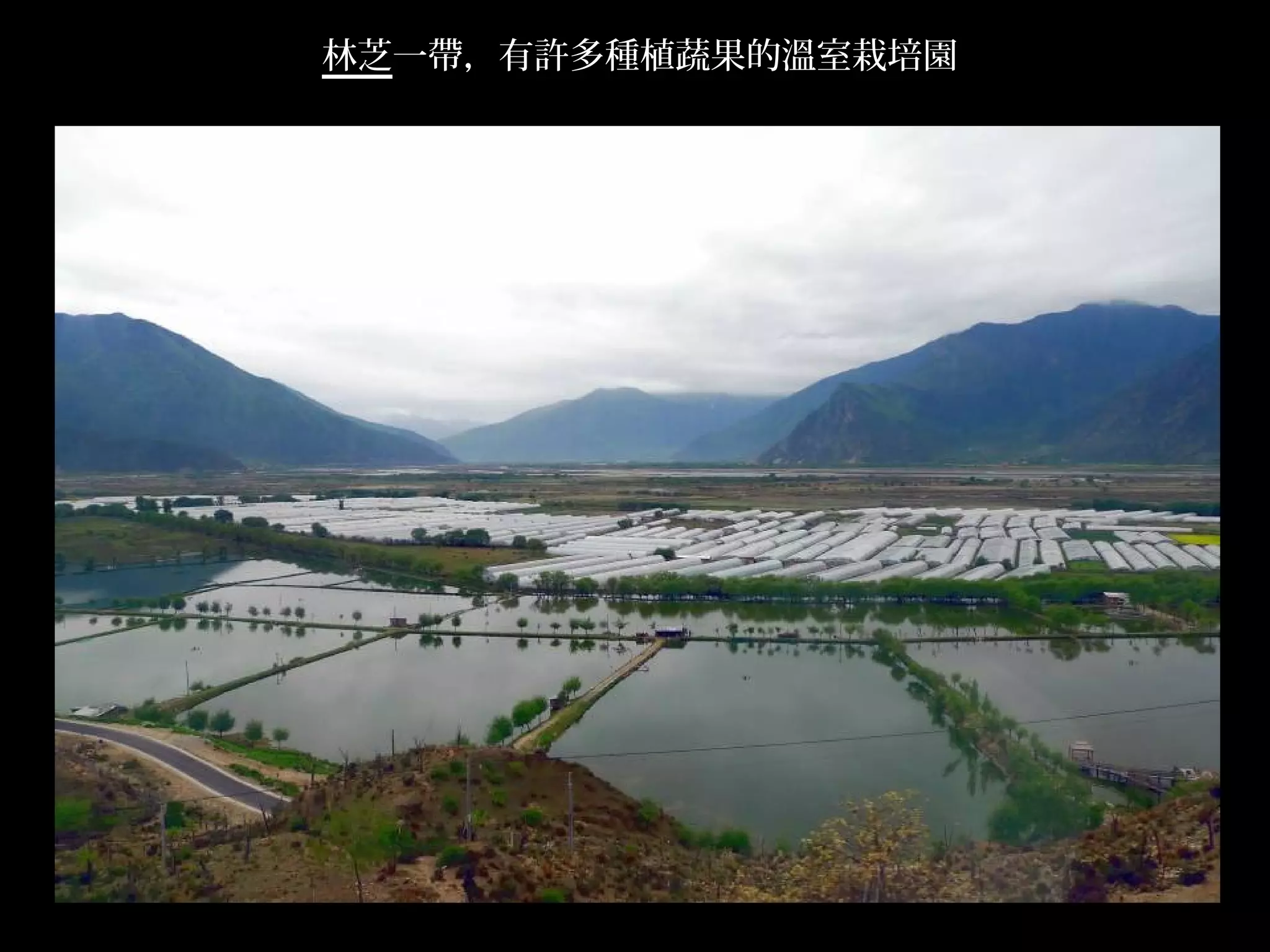 林芝一帶，有許多種植蔬果的溫室栽培園




                     .
 