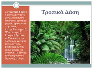 Το τροπικό δάσος
ή ζούγκλα είναι ηο
                     Τροπικά Δάση
μεγάλο και πςκνό
δάζορ ηυν ηποπικών
συπών. Βπίζκονηαι
ζηην Αζία,
Αςζηπαλία, Αθπική,
Νόηια Αμεπική,
Κενηπική Αμεπική,
ηο Μεξικό και για
πολλά από ηα νηζιά
ηος Ειπηνικού.
Σςνδςάζει ςτηλή
θεπμοκπαζία και
ςγπαζία. Τα δένηπα
ηος ξεπεπνούν ζε
ύτορ ηα 50 μέηπα.
 
