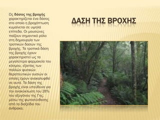 Ωο δάσος της βροχής
ραξαθηεξίδεηαη έλα δάζνο
ζην νπνίν ε βξνρόπησζε      ΔΑΣΗ ΤΗΣ ΒΡΟΧΗΣ
θπκαίλεηαη ζε πςειά
επίπεδα. Οη κνπζώλεο
παίδνπλ ζεκαληηθό ξόιν
ζηε δεκηνπξγία ησλ
ηξνπηθώλ δαζώλ ηεο
βξνρήο. Τα ηξνπηθά δάζε
ηεο βξνρήο έρνπλ
ραξαθηεξηζηεί σο ηα
κεγαιύηεξα θαξκαθεία ηνπ
θόζκνπ, εμαηηίαο ησλ
πνιιώλ θπζηθώλ
ζεξαπεπηηθώλ νπζηώλ νη
νπνίεο έρνπλ αλαθαιπθζεί
ζε απηά. Τα δάζε ηεο
βξνρήο είλαη ππεύζπλα γηα
ηελ αλαθύθισζε ηνπ 28%
ηνπ νμπγόλνπ ηεο Γεο,
κέζσ ηεο θσηνζύλζεζεο
από ην δηνμείδην ηνπ
άλζξαθα.
 