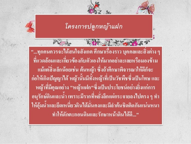 โครงการปลูกหญ้าแฝก