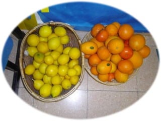 يوم الصحة