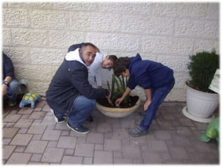 يوم الصحة