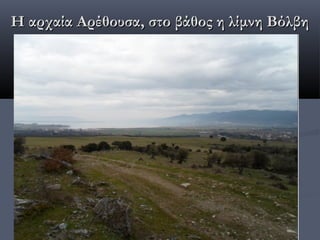 Η αρχαία Αρέθουσα, στο βάθος η λίμνη Βόλβη
 
